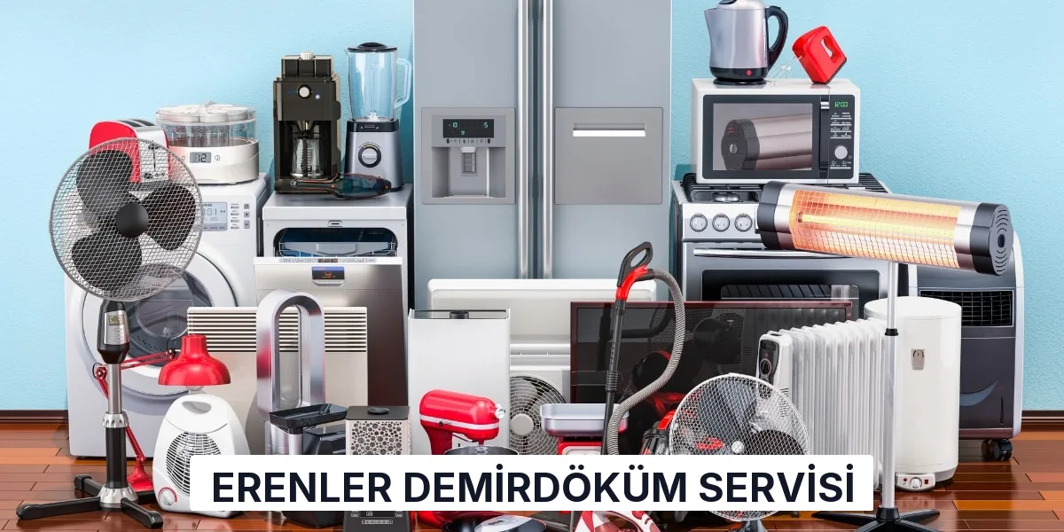Erenler Demirdöküm Servisi