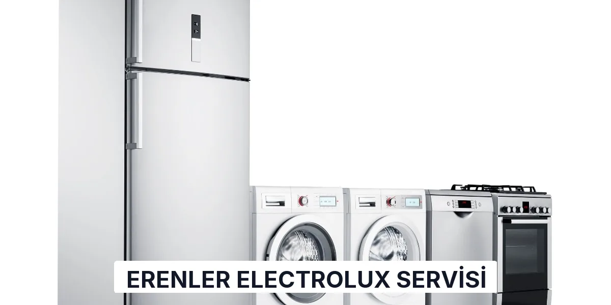 Erenler Electrolux Servisi