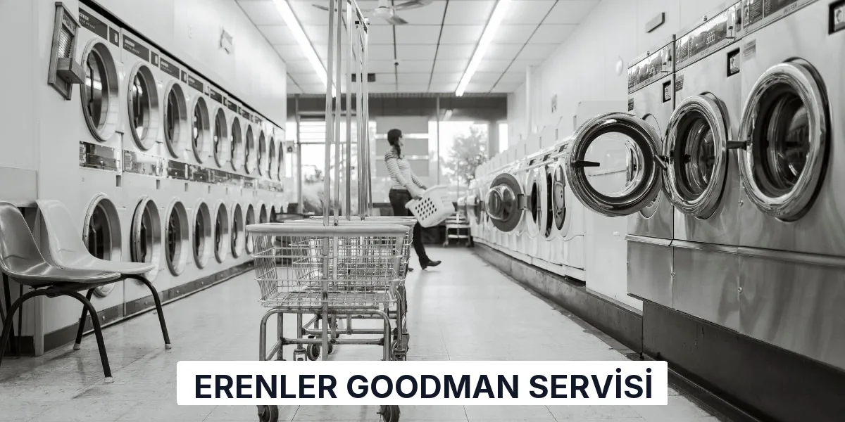 Erenler Goodman Servisi