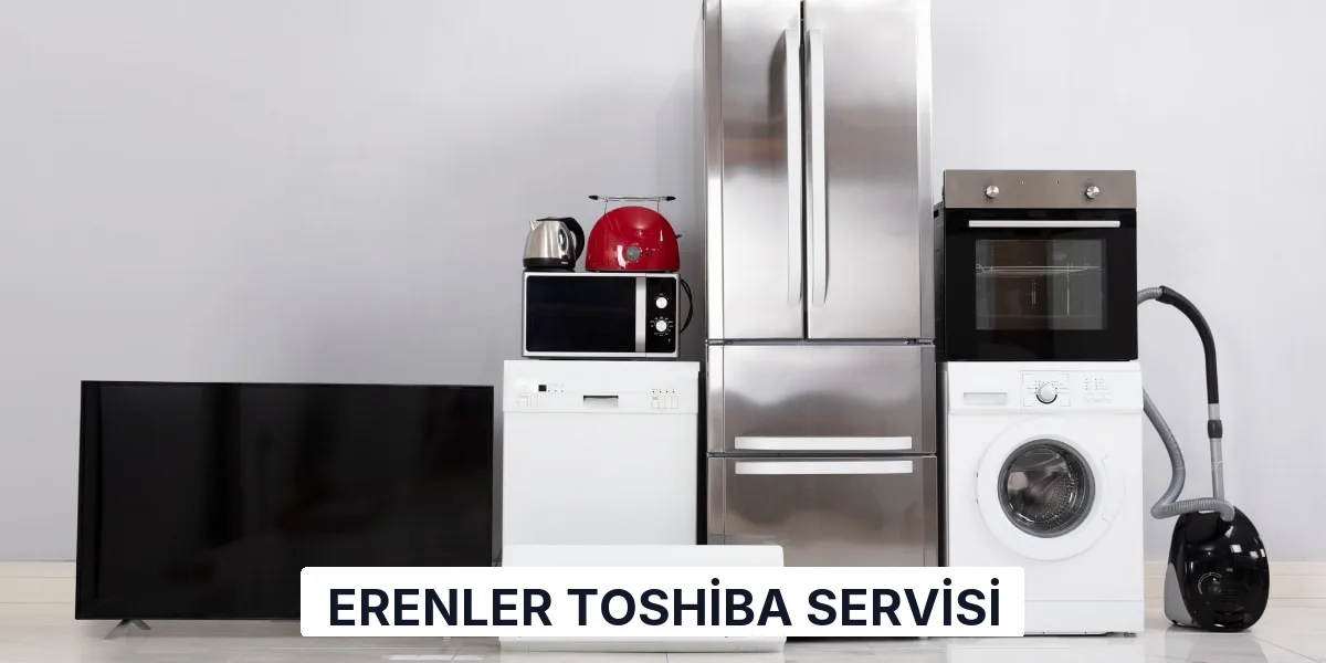 Erenler Toshiba Servisi